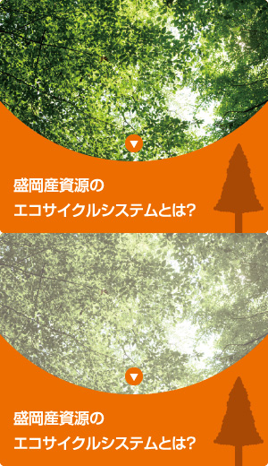 盛岡産資源のエコサイクルシステムとは？